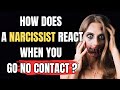 How does a narcissist react when you go no contact?