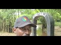 Painful History of Stolen Africans Last Bath at Assin Manso - Ghana May 2025 Roots & Culture Journey