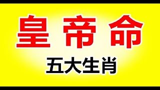 人各有命！天生就是「皇帝命」的5大生肖，一輩子發大財行大運