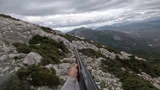 Κυνήγι Ορεινής Πέρδικας Hunding with Epagnuel Breton #hunting #alectoris #breton A\u0026N 9 months