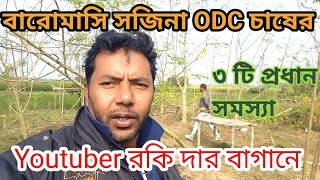 বারোমাসি সজিনা চাষের প্রধান কিছু সমস্যা দেখুন। ODC dramatic farming.