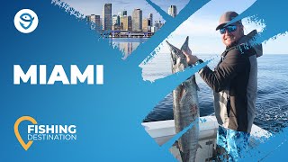 Fishing in Miami: All You Need to Know | FishingBooker