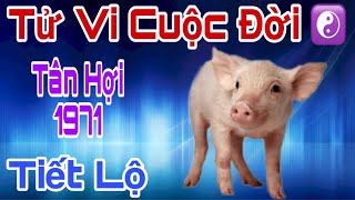 Giới Tử Vi Xôn Xao -  Cuộc Đời Tân Hợi 1971 - Phúc Lộc Trời Ban Quý Nhân Nâng Đỡ, Tài Vận Hanh Thông