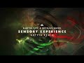 MVMB (Martin Vice & Michael Banel) - Sensory Experience (Krypta Remix)