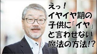 【イヤイヤ期を乗り切る】2歳児がハマる遊び、発達を促す遊び