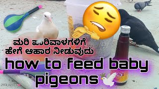 how to feed baby pigeons 🕊using balloon feeder🤩💥//ಮರಿ ಪಾರಿವಾಳಗಳಿಗೆ ಹೇಗೆ ಆಹಾರ ನೀಡುವುದು😲//dppigeonloft