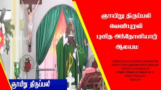 ஞாயிறு திருப்பலிவெண்புரவி புனித அந்தோனியார் ஆலயஆலயத்திலிருந்து