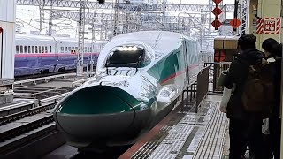 《E2系の単独運用とすれ違う！》JR東日本新幹線E5系幹ｾｼU36編成がはやぶさ7号新函館北斗行きとして大宮駅17番線に入線到着停車！(7B) 2024/3/23