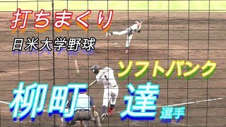 【ソフトバンクドラフト５位】柳町　達選手（福岡ソフトバンク）強力アメリア代表投手たちから打ちまくり！【日米大学野球】