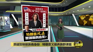 质疑对手贺锦丽族裔身份   特朗普再玩种族歧视?   | 八点最热报 01/08/2024