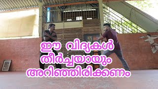 Basic attacks in kalari chuvadu #attacks #martialarts #sport #defense #tutorial