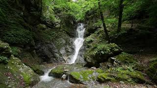 群馬県　南牧村　熊倉　熊倉川　象ヶ滝