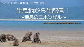 生息地から生配信！～幸島のニホンザル～