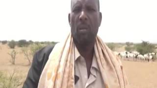 Gabiley Iyadoo Ay Jiraan Barakacyo Ka Soo Barokacay Abaaro Ba, an oo Ka Jira Gobolada Bariga Somali