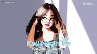 Kali Nagin Ke Jaisi -Lofi♡- Udit_Narayan [Slowed+Reverb] Kavita Krishnamurthy - Mann - Lofi🌼Song