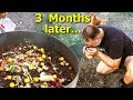 What Happened to the Chicken Compost Making Ring 3 Months Later?