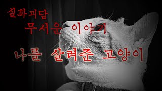 나를 살려준 고양이