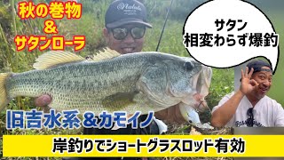 秋の巻物からサタン必殺ローラ様が釣れております！旧吉水系～飯尾川編