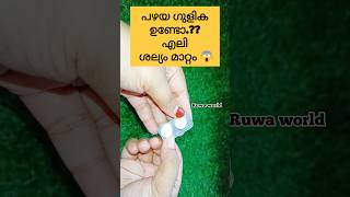 ഒരു ഗുളിക മതി എലി തല തെറിച്ചോടും 😀#shorts#viral