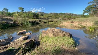 Exploring Zaka bush, near Masvingo in Zimbabwe in the Landrover Discover 4