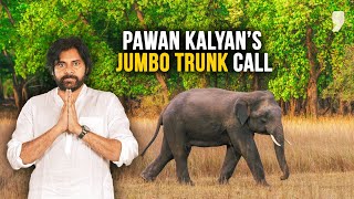 Why does Pawan Kalyan want Karnataka’s Jumbo elephants? News9 Plus Decodes