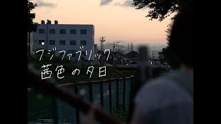 茜色の夕日/フジファブリック【夕方の川沿いで歌ってみた】