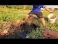 quyen fishing146 the young man caught a swarm of water monsters in a deep sewer