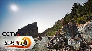 《生财有道》 夏日经济系列：走进大连海王九岛 20180723 | CCTV财经