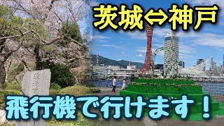 【スカイマーク】茨城から神戸に行ってみた！