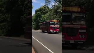 පොලොන්නරුව 48 කොළඹ 😍😎 හබරණ කැලේ මැද්දෙන් 😗 #bus #touristbus #travel