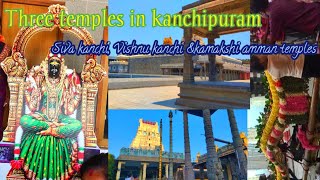 కంచి బంగారు బల్లి టెంపుల్ | Kanchi kamakshi temple|Ekambareswarar temple #kanchi #kanchipuram