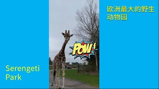 Serengeti Park 欧洲最大的野生动物园 假期带娃好去处