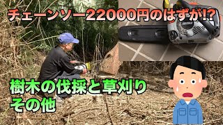 チェーンソー22000円のはずが!? 樹木の伐採と草刈り　その他