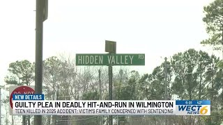 New Hanover County man pleads guilty in deadly 2025 hit-and-run