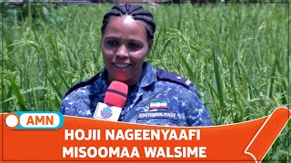 HOJII NAGEENYAAFI MISOOMAA WALSIME