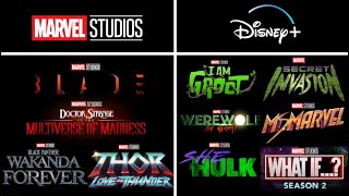 Upcoming MCU Movies & Shows In 2022 & Chronological Watch Order For All 33 Movies, Shows & Shorts!