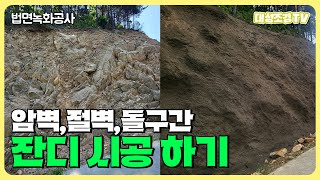 대성조경 녹생토 건식녹생토 습식녹생토 암벽 절벽 잔디공사 전문업체