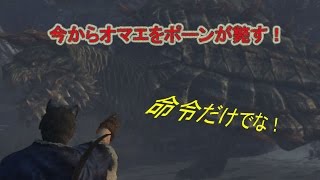 【DDON】ポーンちゃんに寄生してタラスク討伐２