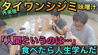 【がさがさ探検隊#6】後編｜用水路のタイワンシジミ味噌汁、食べてみたら〇〇