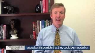 Perceptions & the Law: Bioterrorism
