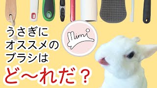 うさぎのブラシ選び　ブラッシング動画③