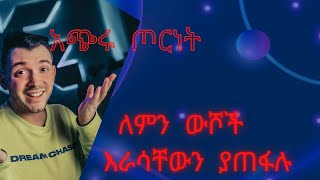 በጣም እንግዳ የሆኑ ና ለማመን የሚከብድ 2 ታሪኮች