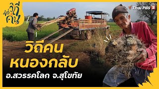 วิถีคนหนองกลับ ต.หนองกลับ อ.สวรรคโลก จ.สุโขทัย | ซีรีส์วิถีคน [CC]