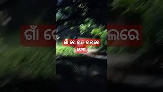 ଅଧ ରାତିରେ ଗାଁ ରେ ଭୂତ ବାହାରିଲା👭🌌#ytshort #video