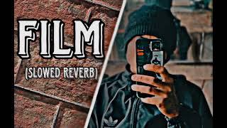 FILM [SLOWED REVERB] || Vipin mehandipuria Ashu twinkle || FILM BADMASHI SONG || HARYANVI NEW SONG||