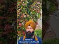 ਵਾਹਿਗੁਰੂ ਦੇ ਦਰਵਾਜੇ ਸਦਾ ਖੁੱਲੇ ਰਹਿੰਦੇ shortsvideo gurpreetsingh nvi motivation waheguru