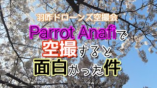 桜の森をParrot Anafiで空撮すると面白かった件 2022 SAKURA 03