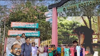 കോന്നി ആനക്കൂട്ടിലെ കാഴ്ചകൾ കാണാം ! A visit to Elephant training centre, Konni !