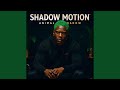 Shadow Pulse
