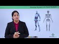 Class10th – Skeletal system | Locomotion and Movement (Hindi) | Tutorials Point